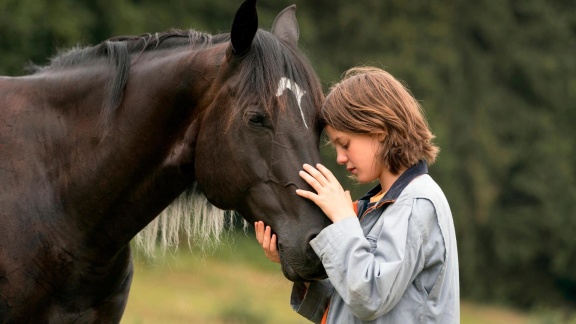 Filme Im Ersten - Ostwind (4): Aris Ankunft