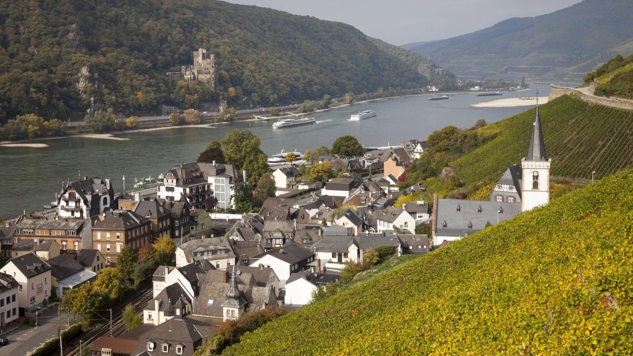 Genießen am Rhein 