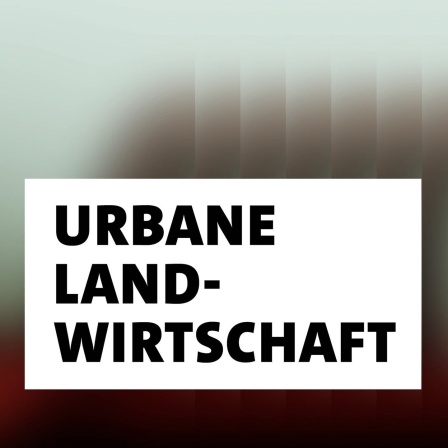 Wort der Woche: Urbane Landwirtschaft