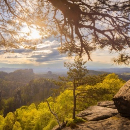 Sächsische Schweiz: Aussicht vom Carolafelsen auf die Schrammsteinkette, den Falkenstein und den Lilienstein. Bad Schandau, Sachsen, Deutschland.