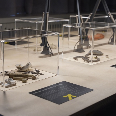 Ausstellungstisch mit Vitrinen