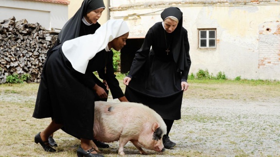 Um Himmels Willen - Schwein Gehabt (170)