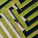 Menschen in einem Labyrinth