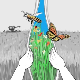 Mammutaufgabe Artenschutz: Der Verlust an Artenvielfalt ist ähnlich bedrohlich wie der Klimawandel. Aber es gibt Lösungen: Schutzgebiete, Umstellungen in der Landwirtschaft und auch im eigenen Garten.