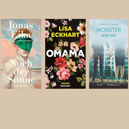 Buchcover "Nach der Sonne" von Jonas Eika, "Omama" von Lisa Eckhart, "Monster wie wir" von Ulrike Almut Sandig foto: verlage: hanser berlin/zsolnay/schöffling&co