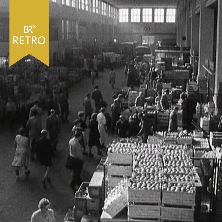 Verkaufsstände, Kunden und Verkäufer in der Großmarkthalle in München.