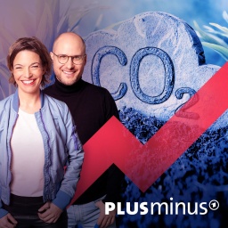 Auf dem Bild ist das Wort CO2 zu lesen. Norwegen prescht voran beim unterirdischen Entsorgen von CO2. Die Widerstände in Deutschland gegen das sogenannte CCS waren groß. Jetzt schwenkt die Politik um. Wir erklären, was CCS bringt und ob es gefährlich ist.