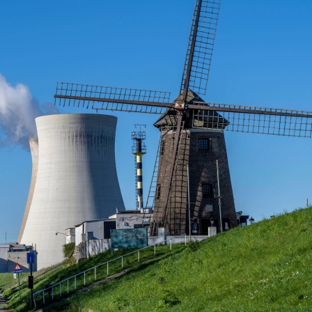 Das Kernkraftwerk Doel, an der Schelde, eines von zwei AKWs in Belgien, besteht aus drei in Betrieb befindlichen Blöcken mit je einem Druckwasserreaktor, sowie einem stillgelegten Block, historische Scheldemolen, Windmühle am Schelde Deich