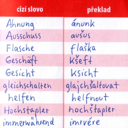 Sprachbarrieren überwinden: Die tschechische Sprache - ein böhmisches Dorf?