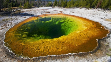 Morning Glory Pool - Yellowstone National Park © picture alliance / Photoshot