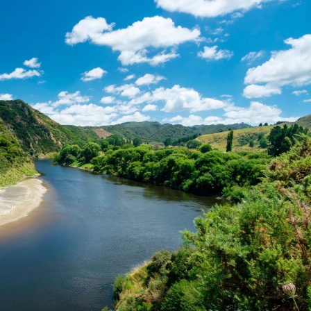 Der Fluss Whanganui in Neuseeland.