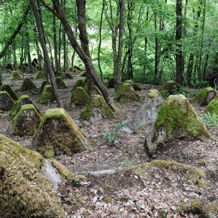 Die Überreste des ehemaligen Westwalls