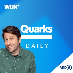 Quarks Daily Schriftzug