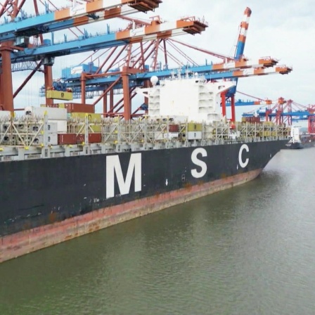 Ein Containerschiff mit der Aufschrift MSC im Hamburger Hafen.