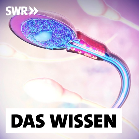 Illustration eines Spermiums: In den USA ist es gelungen, mit dem Wirkstoff YCT529 die Spermienbildung bei männlichen Mäusen zu stoppen, in Deutschland nehmen Forscher den Spermien ihren Schwung, sodass sie nicht bei der Eizelle ankommen. Und feministische Männergruppen arbeiten an Verhütungsslips und Silikonringen, um die Hoden so zu wärmen, dass sie keine Spermien produzieren. Verhütung ist nicht nur Frauensache!