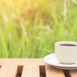 Tasse umweltfreundlicher Kaffee - so geht es