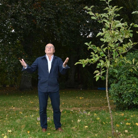 Filmregisseur Volker Schlöndorff steht in einem Garten