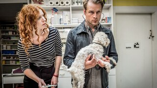 Tierarzt-Helferin Jule Christiansen (Marleen Lohse) guckt Tierarzt Hauke Jacobs (Hinnerk Schönemann) an, der einen weißen Hund untersucht.