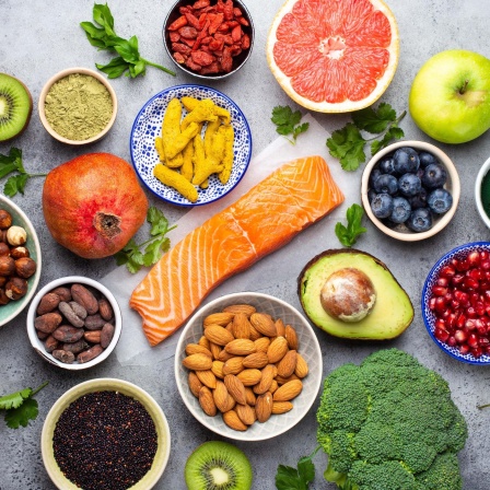Auswahl an gesunden Nahrungsmitteln: Lachs, Obst, Gemüse, Beeren, Goji, Quinoa, Chiasamen, Nüsse.