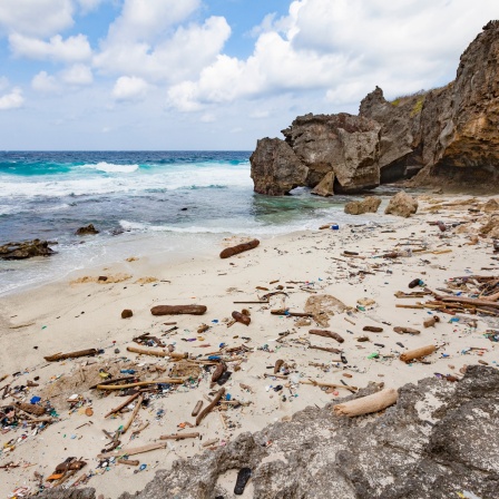 Australien Strand Plastikmüll