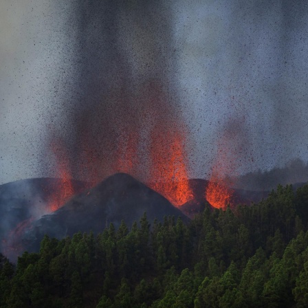 Sichere Vorhersage für Vulkanausbrüche, Praktische Trockentoiletten
