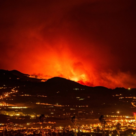 Am Horizont sind Flammen zu sehen, während sich das Feuer durch den Wald auf die Stadt La Laguna und den Flughafen Los Rodeos zubewegt.