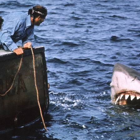 Filmszene aus Steven Spielbergs Film "Jaws" (1975)
