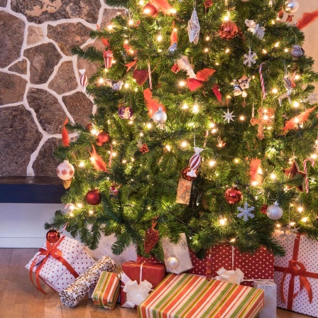 zwei Personen auf Alm