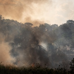 Ein Mischgebiet aus Feldern und Amazonas-Regenwald in Brasilien brennt unkontrolliert im Oktober 2023.