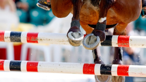 Sportschau - Reiten Bedeutet Für Noah Kuhlmann Freiheit