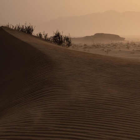 Die Geschichte der Sahara - Seen im Sand