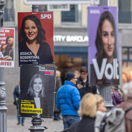 Wahlplakate verschiedener Parteien zur Bundestagswahl 2025.
