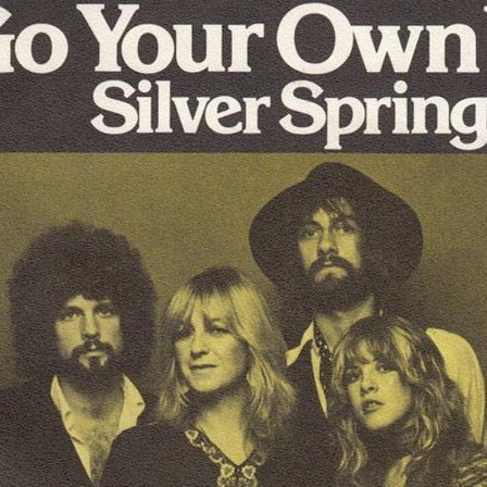 Go Your Own Way - Fleetwood Mac