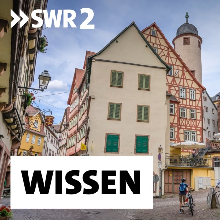 Altstadt in Wertheim: Im Kampf gegen die Klimakrise hat die Politik begonnen, Denkmalregeln anzupassen. Der Gemeinderat in Wertheim (Main-Tauber-Kreis) hat entschieden: Auch Besitzer historischer Gebäude sollen künftig Solaranlagen installieren können.