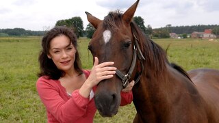 Katja Stein (Julia Stemberger) hat eins von Stefans Pferden eingefangen.