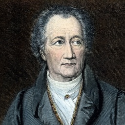 Johann Wolfgang von Goethe (1749 - 1832), im 69. Lebensjahr