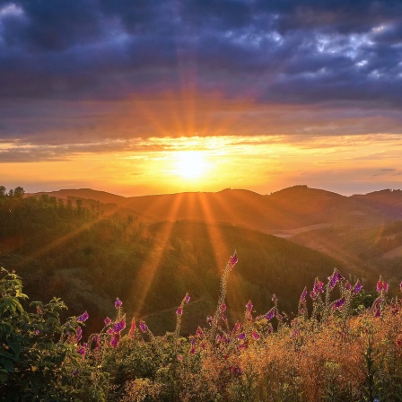 Sonnenuntergang im Sauerland