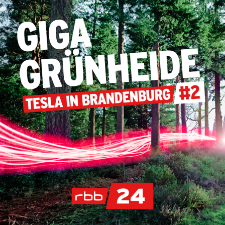 Grafik: Giga Grünheide - Tesla in Brandenburg #2. (Quelle: rbb24)