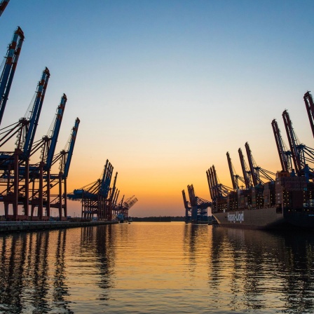 Der Hamburger Hafen im Morgengrauen (Bild: picture alliance/Micha Korb)