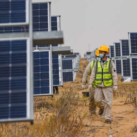 Monteure gehen zwischen großen Solarpaneelen in der mongolischen Wüste.