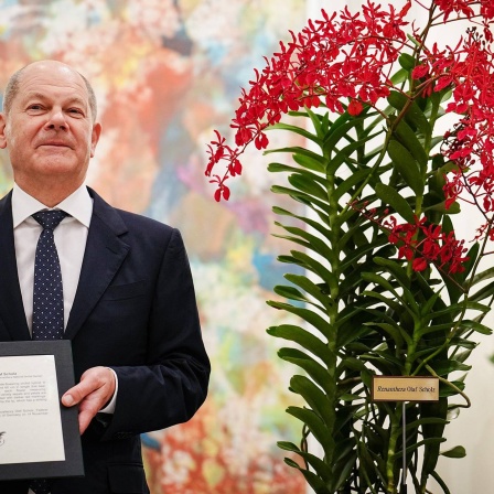 Scholz steht neben Orchidee mit dem Namen Renanthera Olaf Scholz