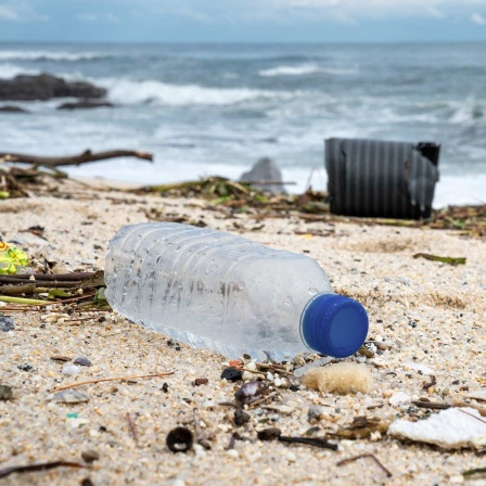 Plastikmüll am Strand der koreanischen Küstenstadt Gangneung.