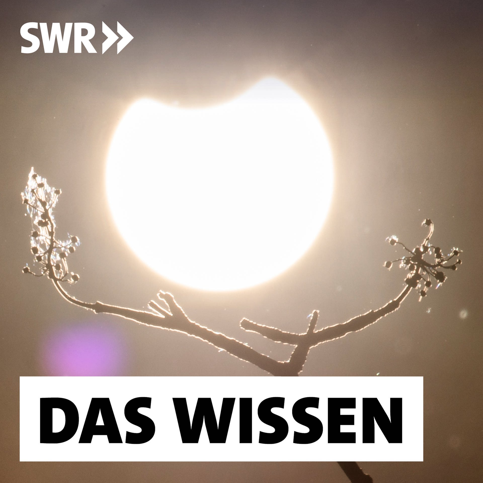 SWR2 Wissen · Die Sonne - Stern Des Lebens, Der Energie Und Der ...