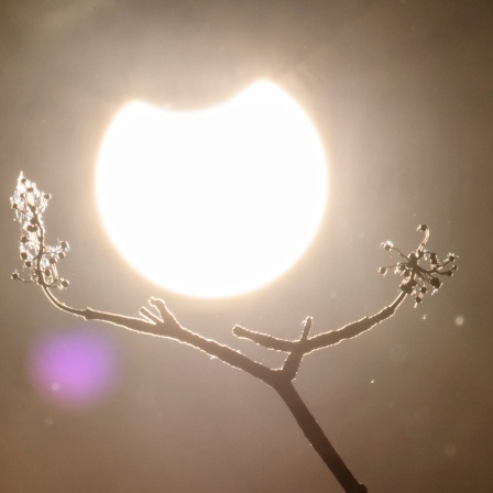 Eine partielle Sonnenfinsternis war im Juni 2021 in Deutschland zu sehen