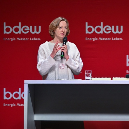 Kerstin Andreae, Hauptgeschäftsführerin des Bundesverbandes der Energie- und Wasserwirtschaft e.V.