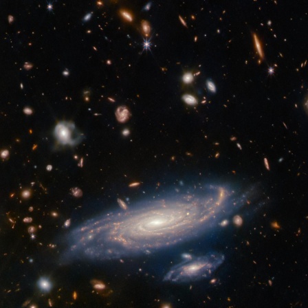 Eine Galaxie-Aufnahme des James-Webb-Weltraum-Teleskops zeigt einen weißen Wirbel vor dem Dunkel des Alls