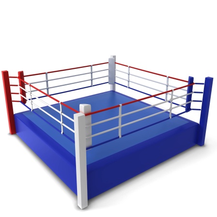 Boxring: Der quadratische Boxring wurde 1838 eingeführt - durch eine Reform der London Prize Ring Rules. Der Boxsport ist allerdings fast 200 Jahre älter. In den Anfängen standen die Zuschauer meist im Kreis um die Kämpfer herum.