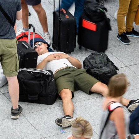 Chaos im Urlaub: Koffer verloren | Nick Martins Weltreise-Fails | Bettwanzen im Ryokan
