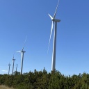Windräder stehen im Grünen in einer Reihe eine Straße entlang.