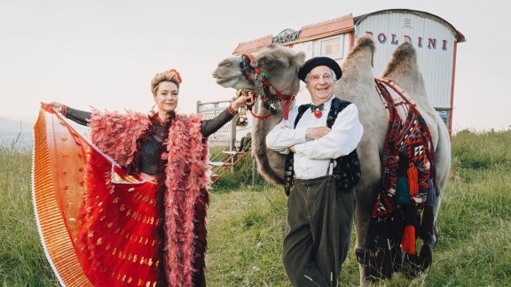 Zimmer Mit Stall - So Ein Zirkus (9)